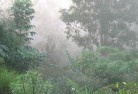 Cunjardinelandscaping-irrigation-4.jpg; ?>